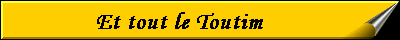 banniere%20toutim